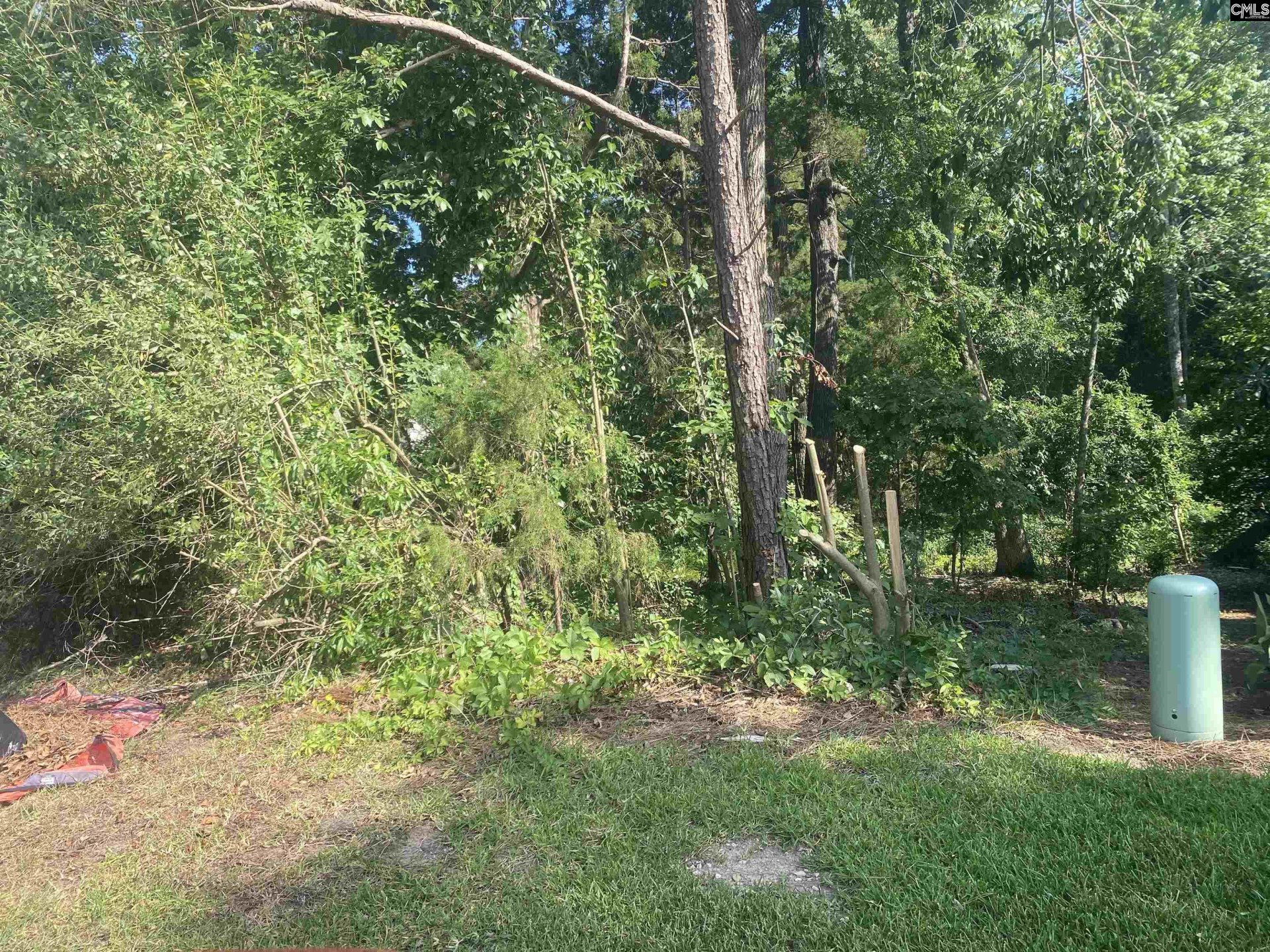 Property at 115 Beacon Point Road, Irmo, SC 29063