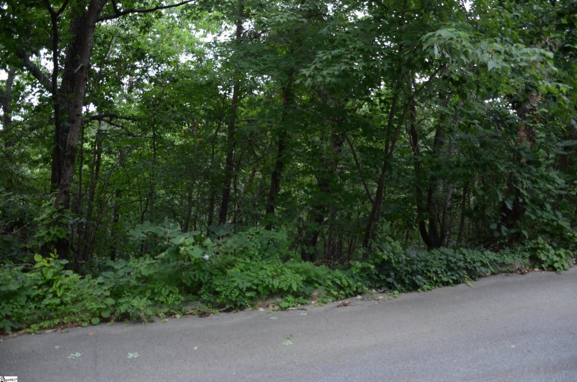 Property image 1 at 00 Altamont Forest Road, Greenville, SC 29609