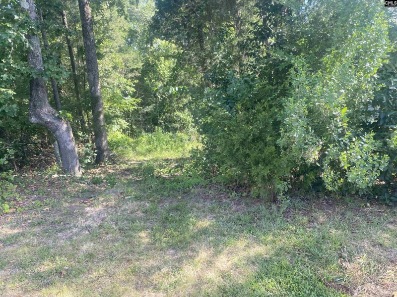 Property image 2 of 115 Beacon Point Road in Beacon Point, Irmo, SC 29063