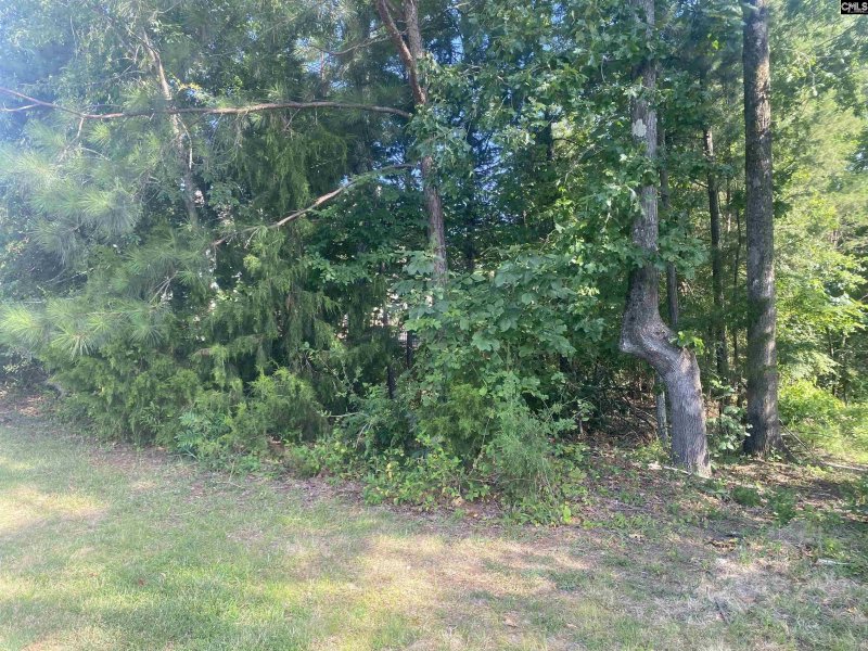 Property image 3 of 115 Beacon Point Road in Beacon Point, Irmo, SC 29063