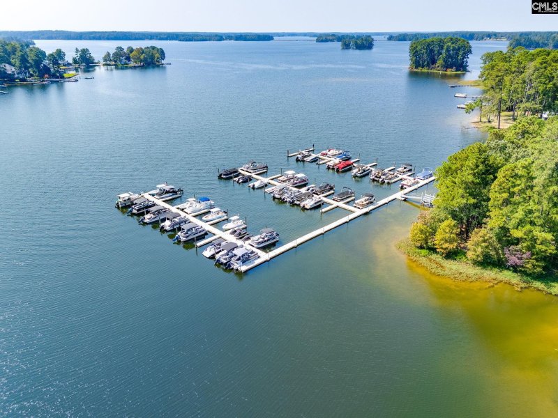 Property image 3 of 343 Amalfi Drive in Paradise Cove, Chapin, SC 29036