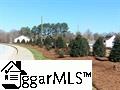Property image 3 at 212 Winespring Place, Simpsonville, SC 29681