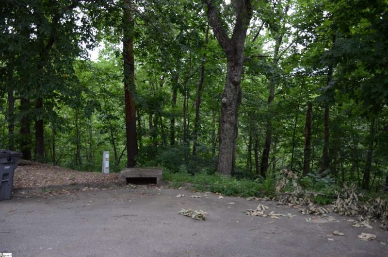 00 Altamont Forest Drive