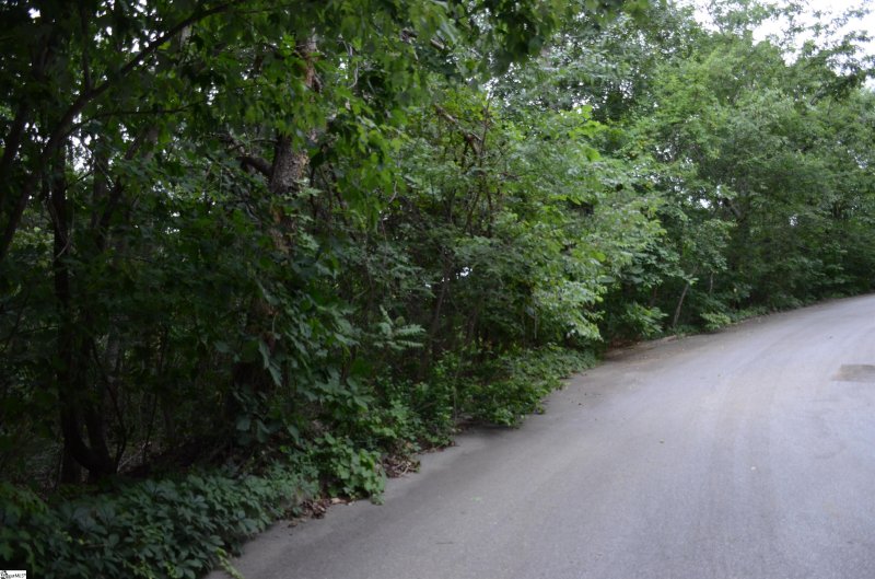 Property image 2 at 00 Altamont Forest Road, Greenville, SC 29609