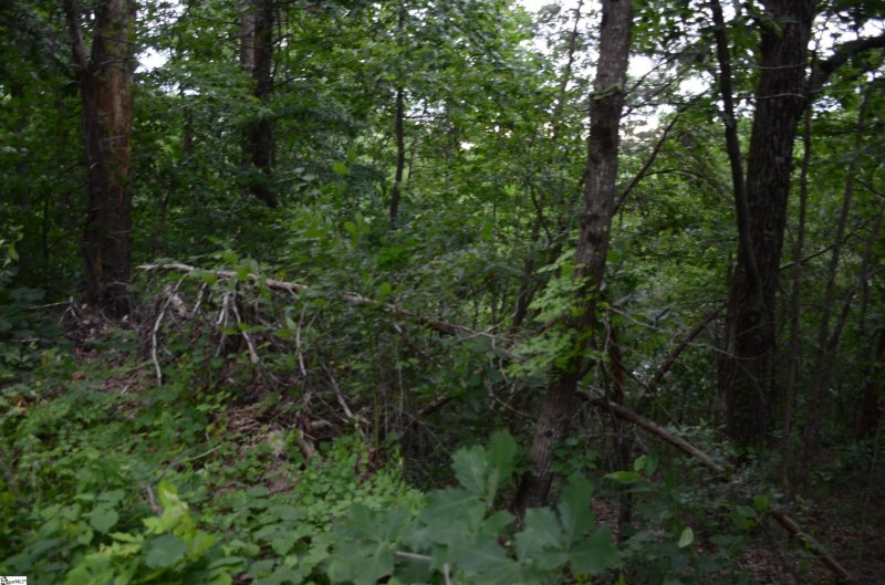 Property image 3 at 00 Altamont Forest Road, Greenville, SC 29609