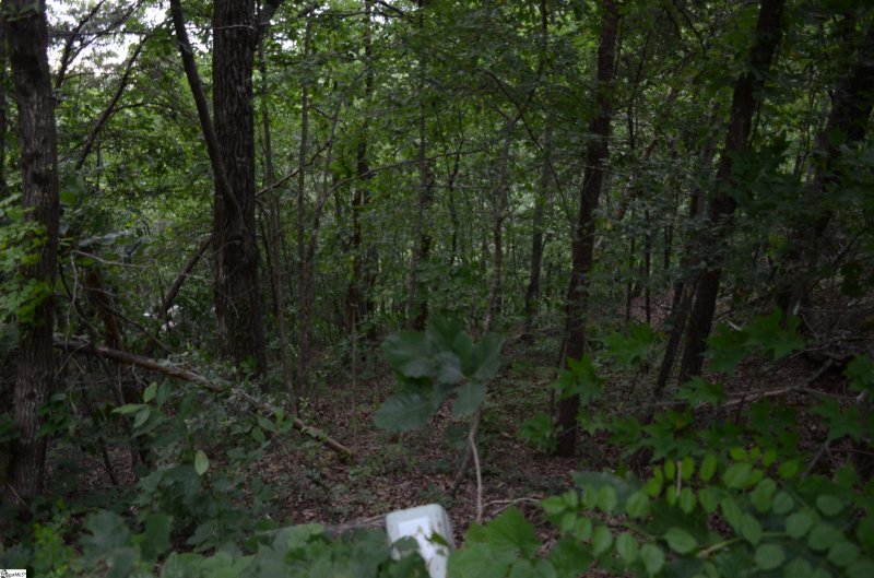 Property image 4 at 00 Altamont Forest Road, Greenville, SC 29609