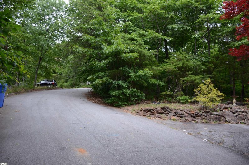 Property image 5 at 00 Altamont Forest Drive, Greenville, SC 29609